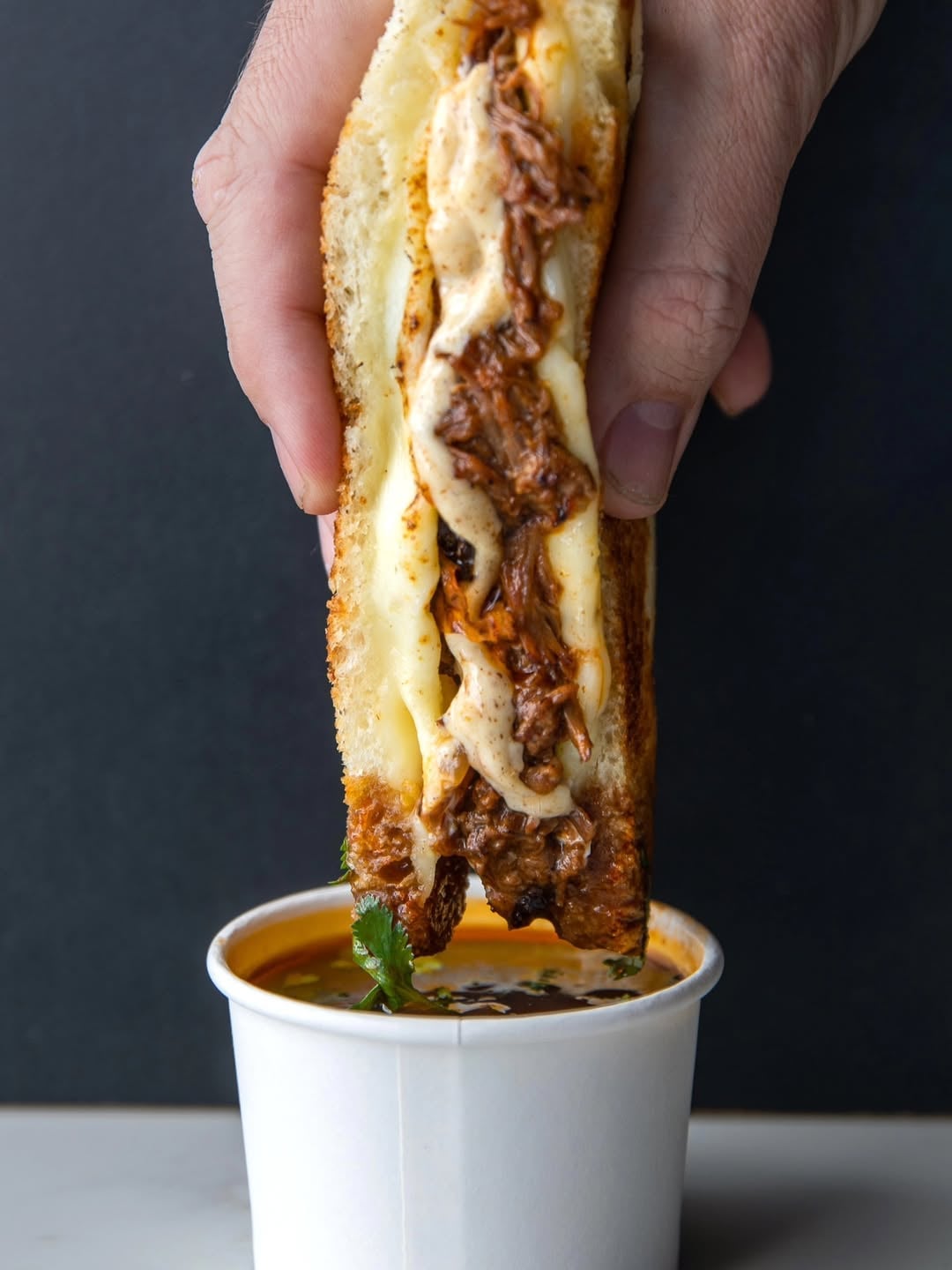 The Birria Dip